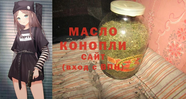 крисы Каменногорск