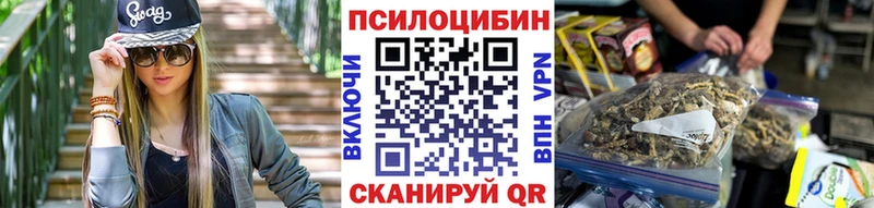 Псилоцибиновые грибы Cubensis  даркнет сайт  Майкоп 