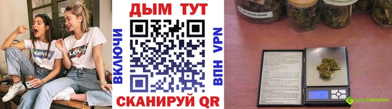 Канабис White Widow  магазин продажи   гидра маркетплейс  Майкоп 